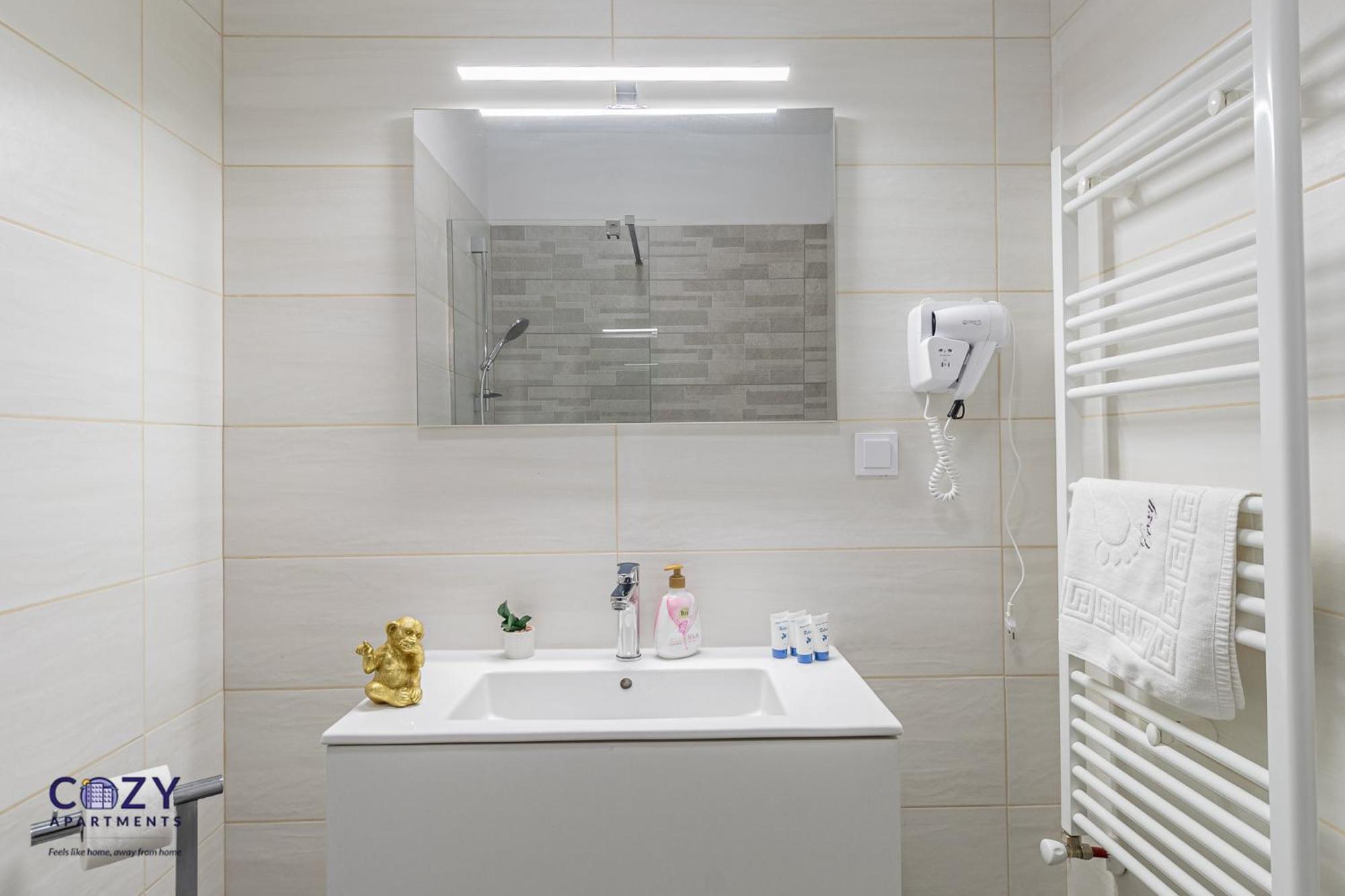 Cozy Collection Studios And Flats - Coresi Mall Brasov Luaran gambar